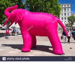 A Bizarre Elephant