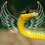 *Snake Gang*