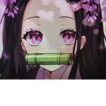 Fans de Nezuko demon slayer