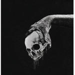 ⋆ Heaven’s Saviors ⋆