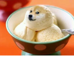 DOGE CREAM!!!!!!!!!