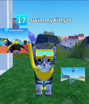 SwimmyKittyt