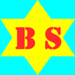 Brothers Studio BS