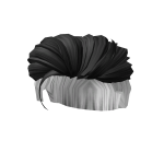 Black Top Styled Hair