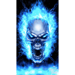 The Bluefire group