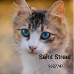 + Saint Street +