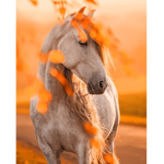 Silver saddles!