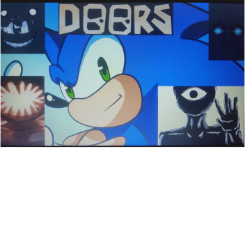 SONIC DOORS
