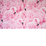 Flamingo kinley