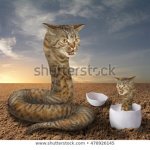 cat cult epic