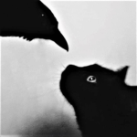 Rᴀᴠᴇɴ Tʜʀᴇᴀᴅs カラス