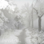 bweary..