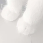 /claws Group Thumbnail