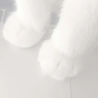 /claws Roblox group icon