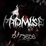 promise ;