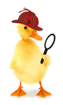 Ducky group and duck meetings