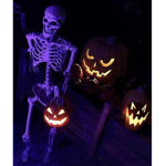 spooky szn.