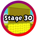 Stage 30