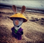 penguincom