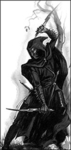 shadow  assasins