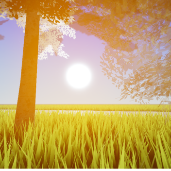 The Forest