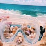• b e a c h y •