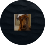 Dog cube