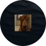 Dog cube