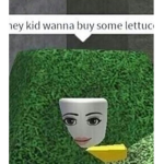 Viciados em roblox -_-