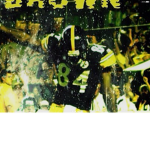 Football_fan