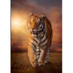 GroupTigeR