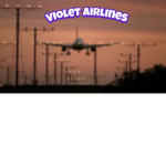 Violet Airlines