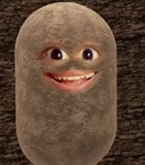 Patcovi