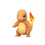 ||•The Kanto Family•||