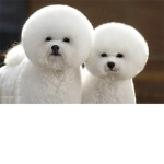 pleaseeeeeeeeeeeeeeeeeeeeeeeeeeeeee