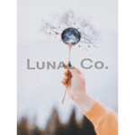 LunaI Co.