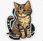 The Tabbies