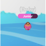 ...RUbY
