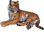 Lion squad is the best