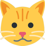 cat activities