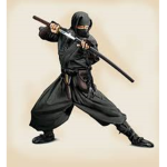 Ninja and Samurais fam