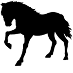 -+- Torch Lake Stables -+-