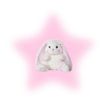 DullDoll