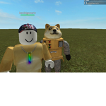 Robo-Doges