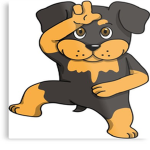 The FurryXX Cat Group