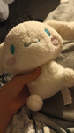 La team cinnamoroll