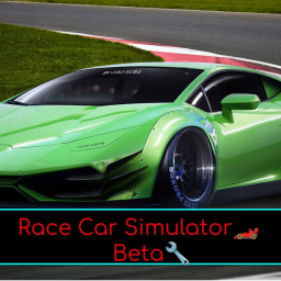 Race Car Simulator