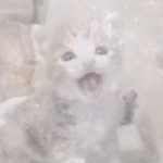 Violet’s Baby Cats