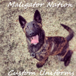 Maligator Nation