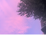 A group to give robux to yeet group